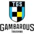 德岛甘巴鲁斯